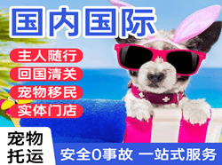 九江庐山机场快递国际宠物托运 【国